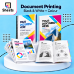 Document Printing ( Black & White / Color )